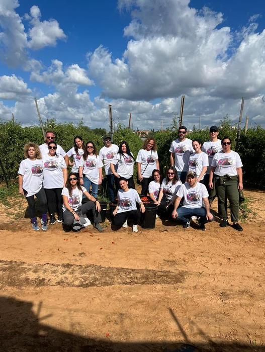 שיווק סוכנים