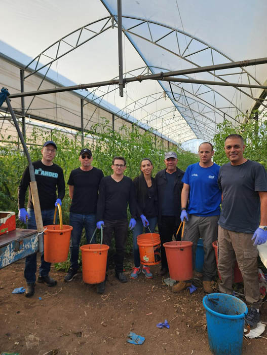 חטיבת ישירים