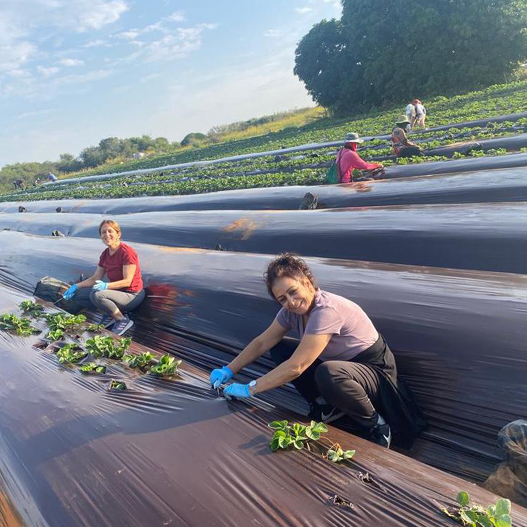 אורלי פביאן פיינסוד