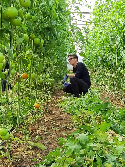 חטיבת ישירים 3