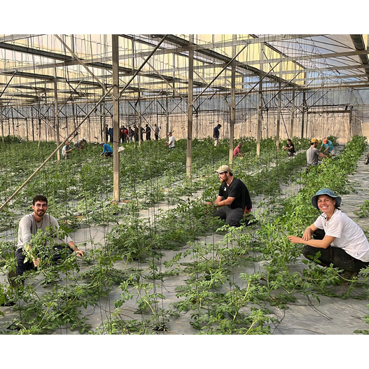 נטלי קויפמן 1