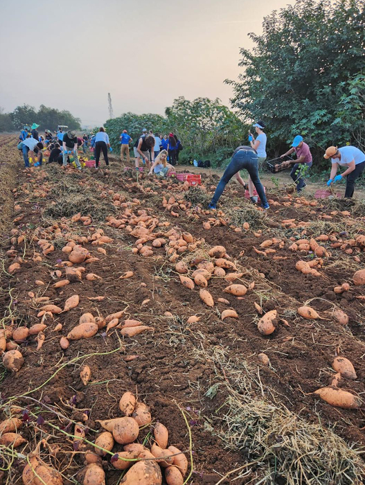 אשר בלומנפלד