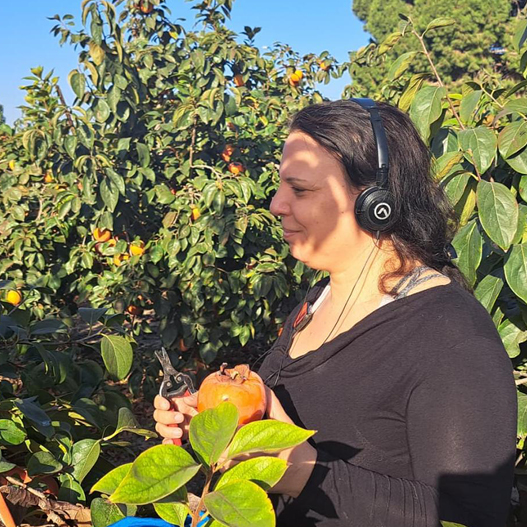 ימית אשכנזי 2