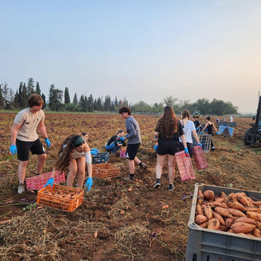 אשר בלומנפלד