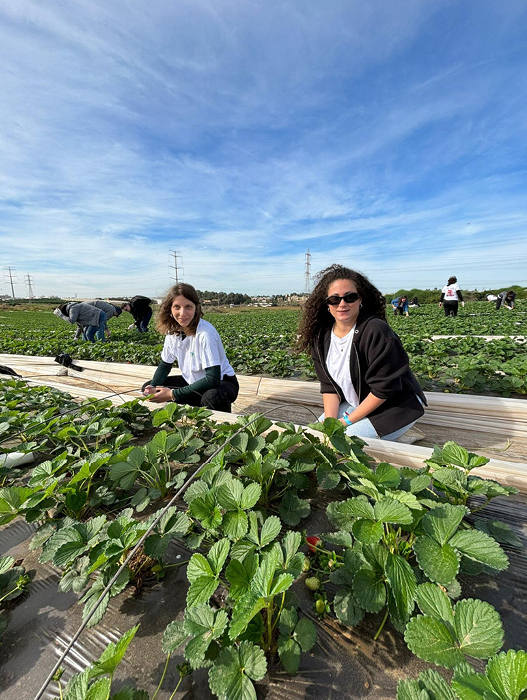 משאבי אנוש 1