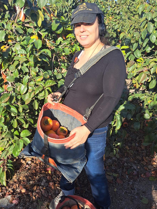 ימית אשכנזי